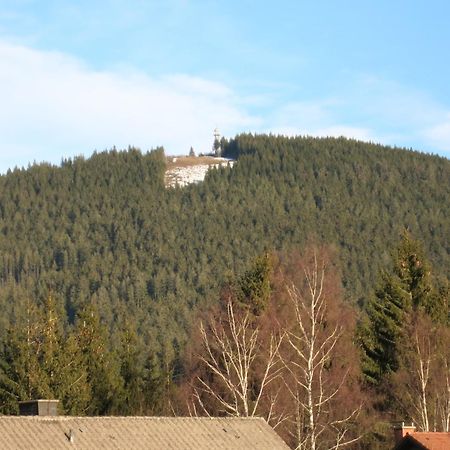 Gaestehaus Birke Hotell Titisee-Neustadt Exteriör bild