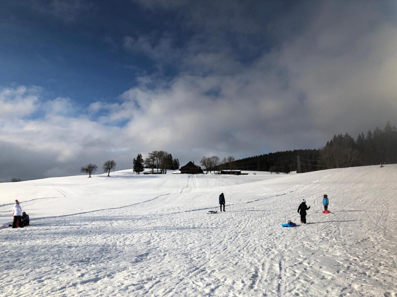 Gaestehaus Birke Hotell Titisee-Neustadt Exteriör bild